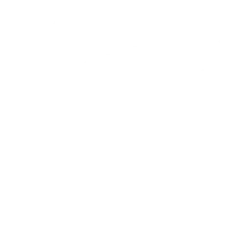 حسين حوش